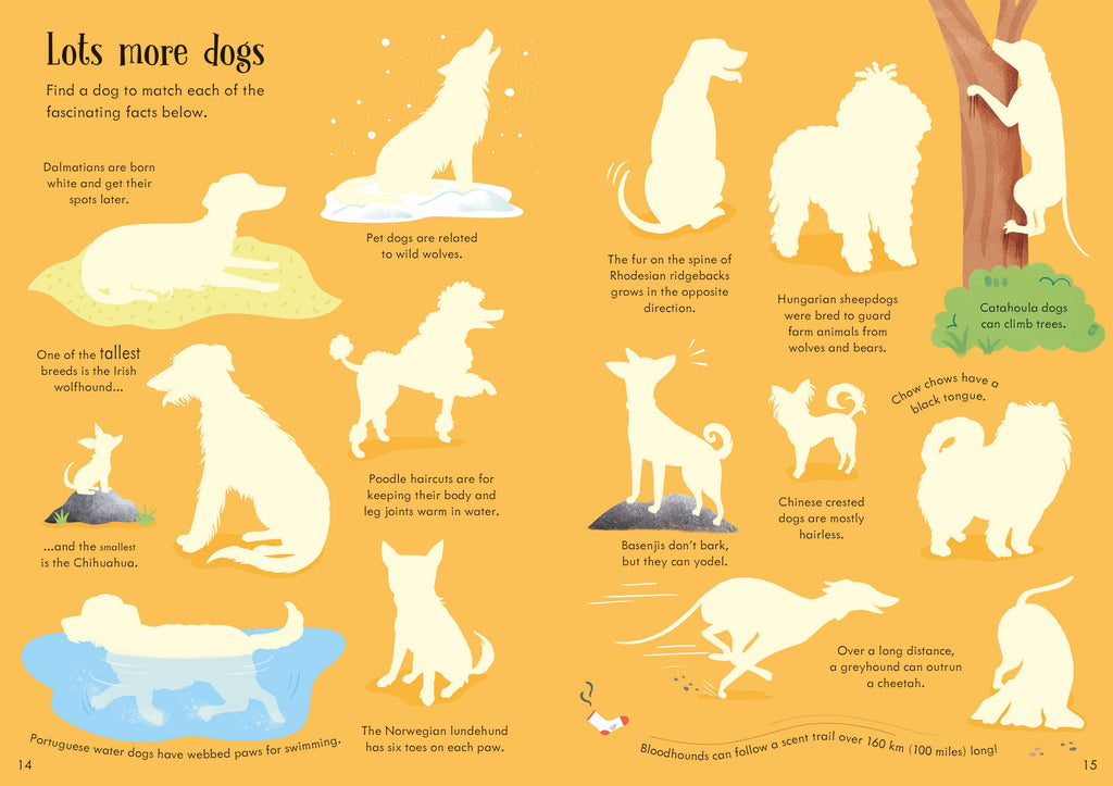 Detaliu din cartea „Little First Stickers Dogs and Puppies”, Usborne – imaginea 6