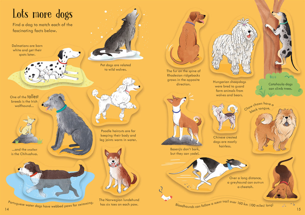Detaliu din cartea „Little First Stickers Dogs and Puppies”, Usborne – imaginea 7