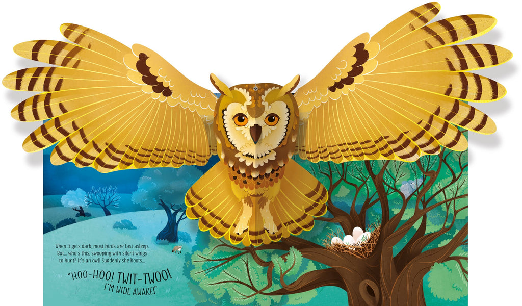 Usborne – Pop-Up Birds – Carte pentru copii 5+ ani – carte pentru copii Usborne, preview pagini