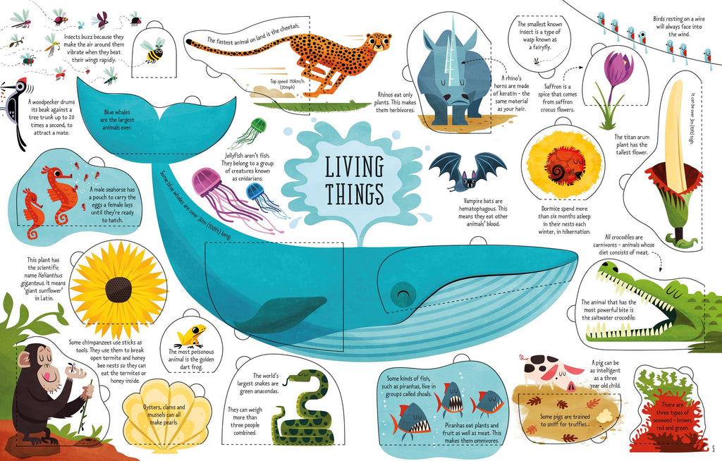 Usborne – Lift-the-Flap General Knowledge – Carte cu clapete pentru copii 6+ ani – carte pentru copii Usborne, pagini interior ilustrate