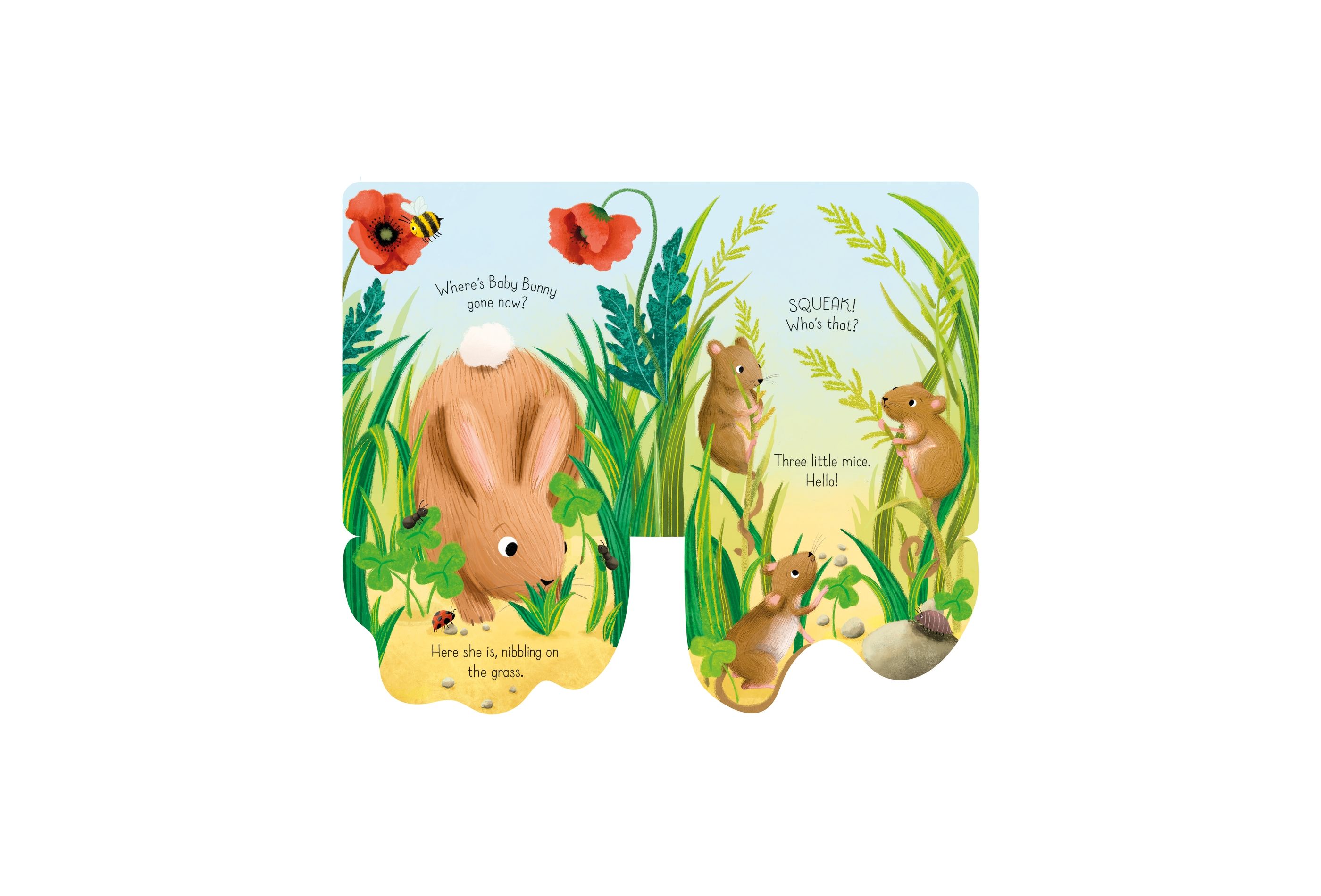 Usborne – Little Lift and Look Baby Bunny – Carte cu clapete pentru copii 10+ luni – carte pentru copii Usborne, detalii conținut cu clapete