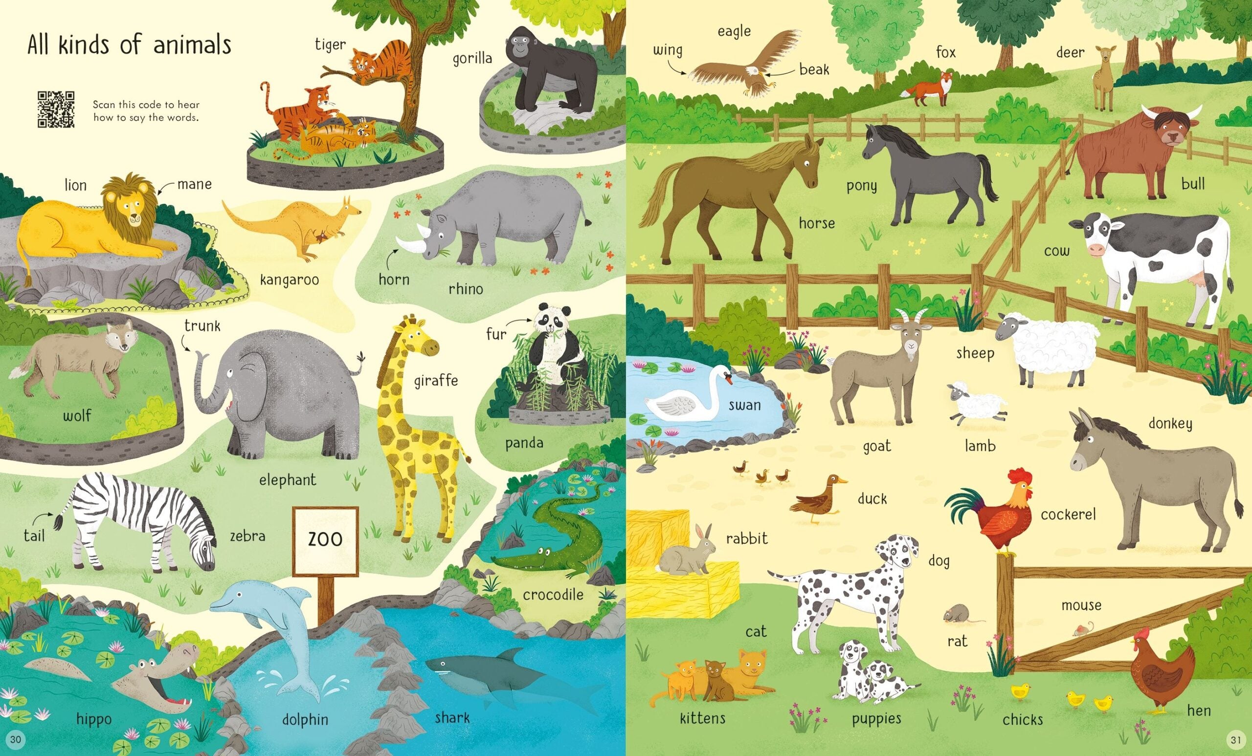 Usborne – 1000 English Words – Carte pentru copii 3+ ani – carte pentru copii Usborne, preview pagini