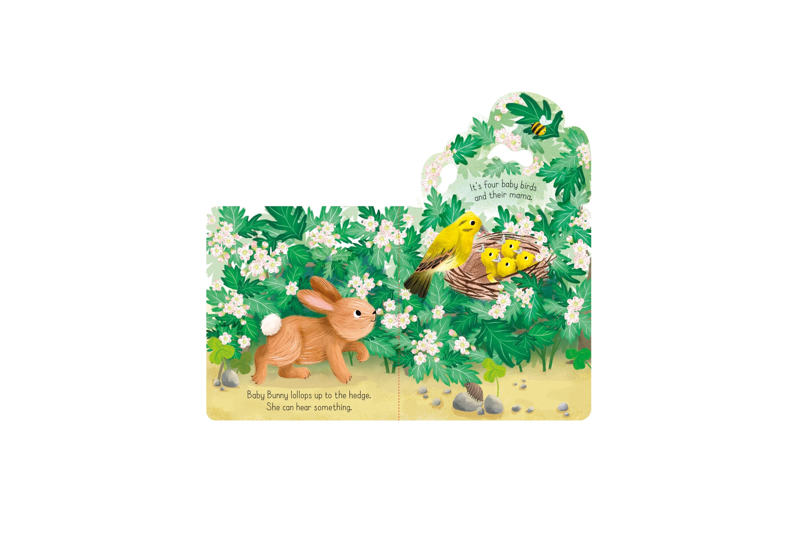 Usborne – Little Lift and Look Baby Bunny – Carte cu clapete pentru copii 10+ luni – carte pentru copii Usborne, preview pagini