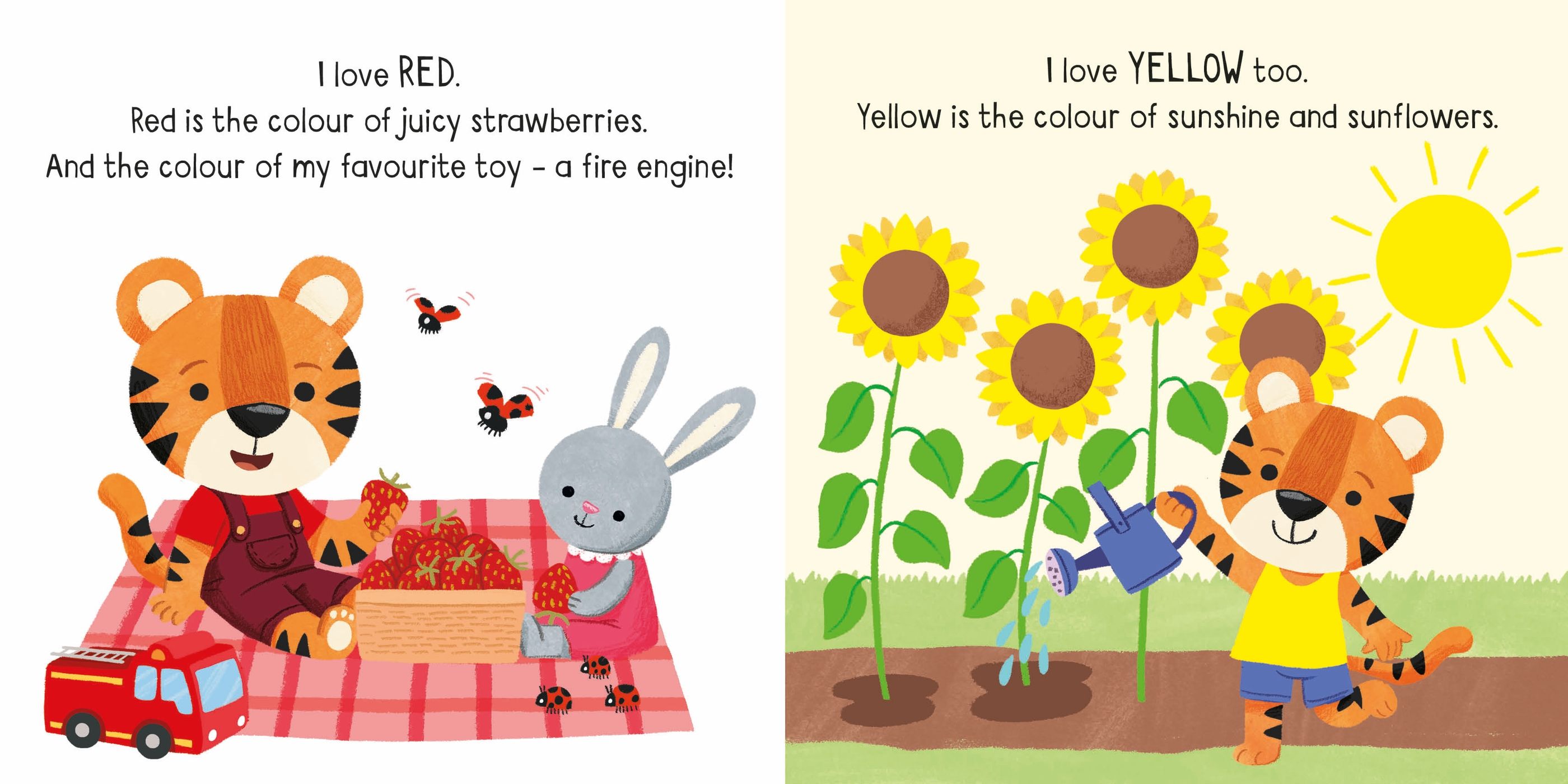 Usborne – Colours – Carte pentru copii 18+ luni – carte pentru copii Usborne, pagini interior ilustrate