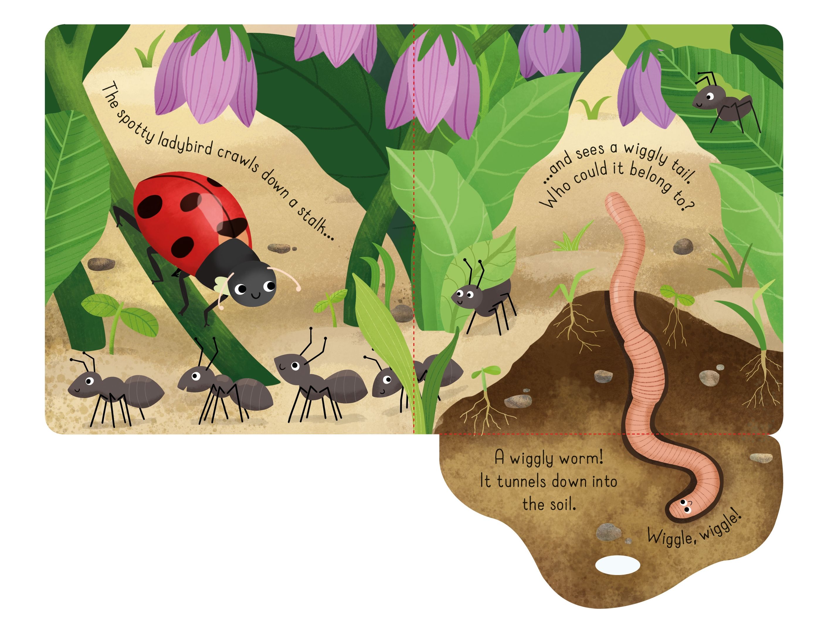 Usborne – Little Lift and Look Bugs – Carte pentru copii 10+ luni – carte pentru copii Usborne, detalii conținut cu clapete