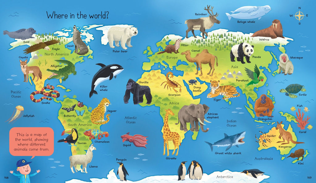 Usborne – My First Encyclopedia – Carte pentru copii 3+ ani – carte pentru copii Usborne, preview pagini