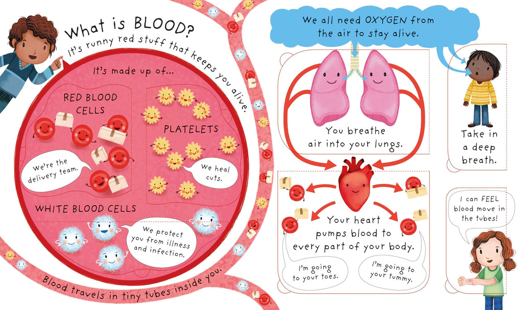 Usborne – Very First Questions and Answers What's Inside Me? – Carte pentru copii 3+ ani – carte pentru copii Usborne, preview pagini