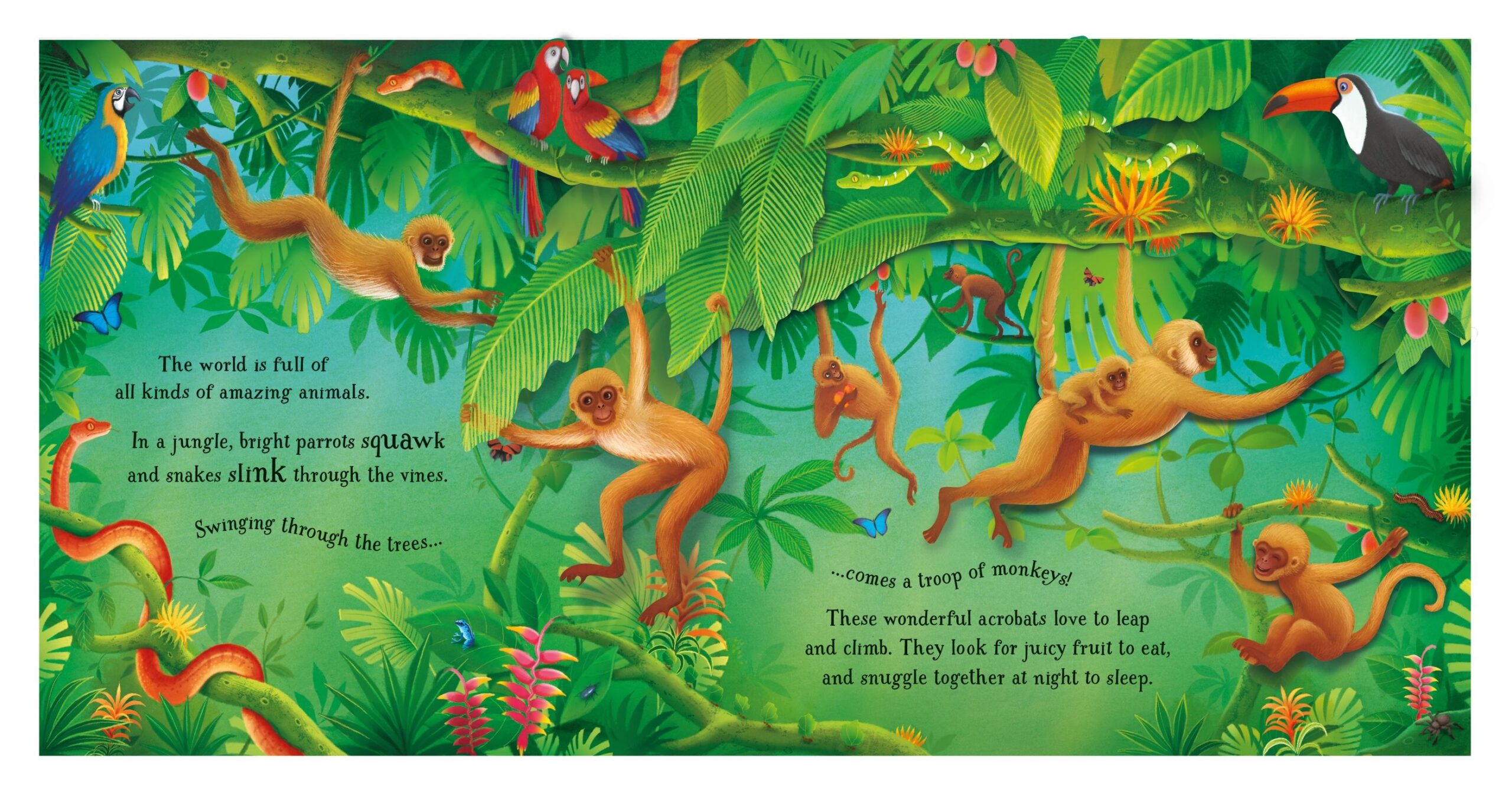 Usborne – Pop-Up Animals – Carte pentru copii 5+ ani – carte pentru copii Usborne, detalii conținut