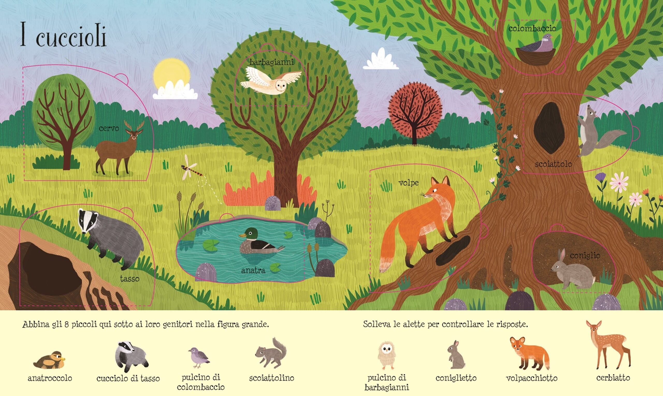 Usborne – Lift-the-Flap Nature – Carte cu clapete pentru copii 3+ ani – carte pentru copii Usborne, pagini interior ilustrate