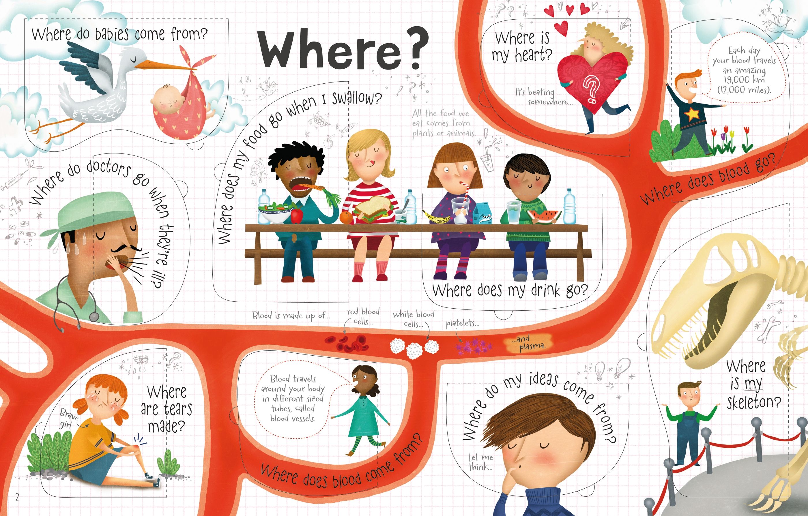 Usborne – Lift-the-flap Questions and Answers about your Body – Carte cu clapete pentru copii 4+ ani – carte pentru copii Usborne, pagini interior ilustrate