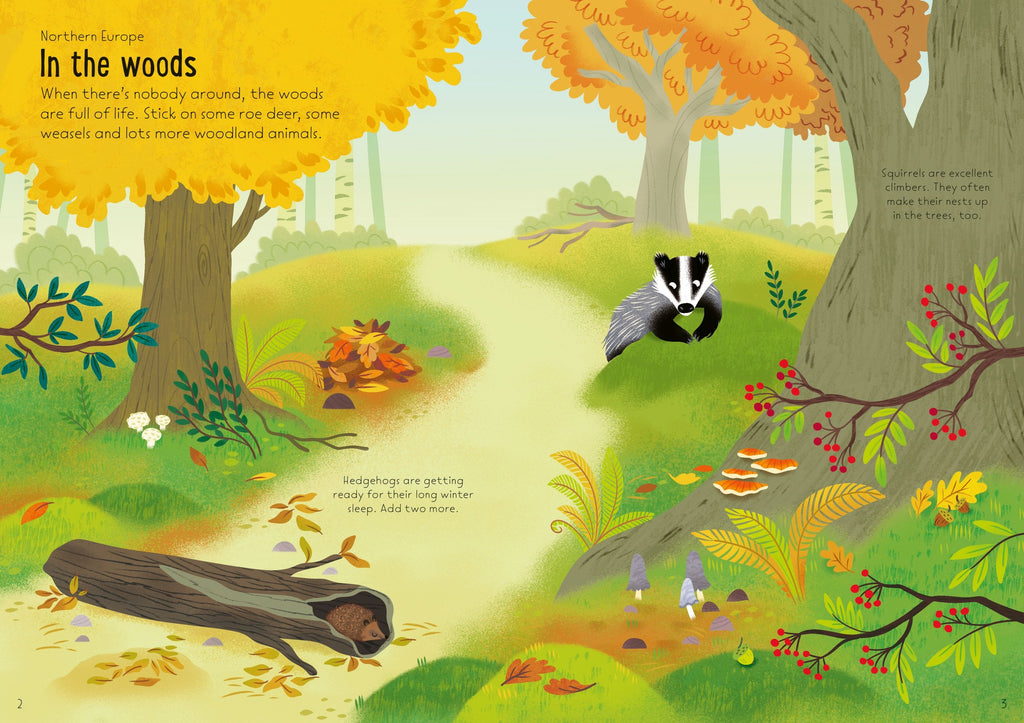 Usborne – Little First Stickers Nature – Carte cu stickere pentru copii 3+ ani – carte pentru copii Usborne, detalii conținut cu abțibilduri