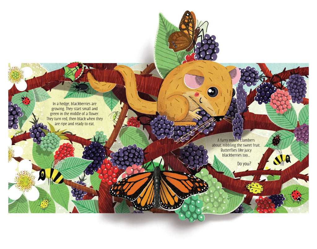 Usborne – Pop-Up Nature – Carte pentru copii 5+ ani – carte pentru copii Usborne, detalii conținut