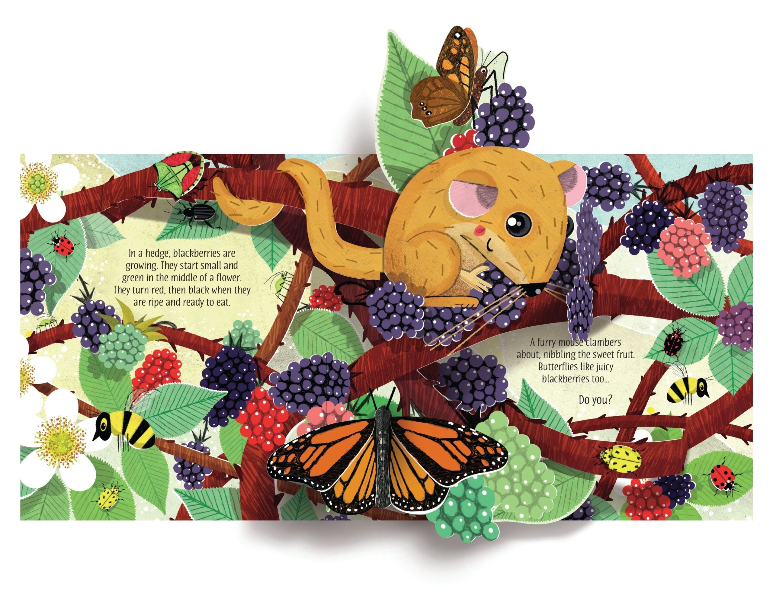 Usborne – Pop-Up Nature – Carte pentru copii 5+ ani – carte pentru copii Usborne, detalii conținut