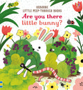 Usborne – Are you there little Bunny – Carte pentru copii 6+ luni – carte pentru copii Usborne, copertă