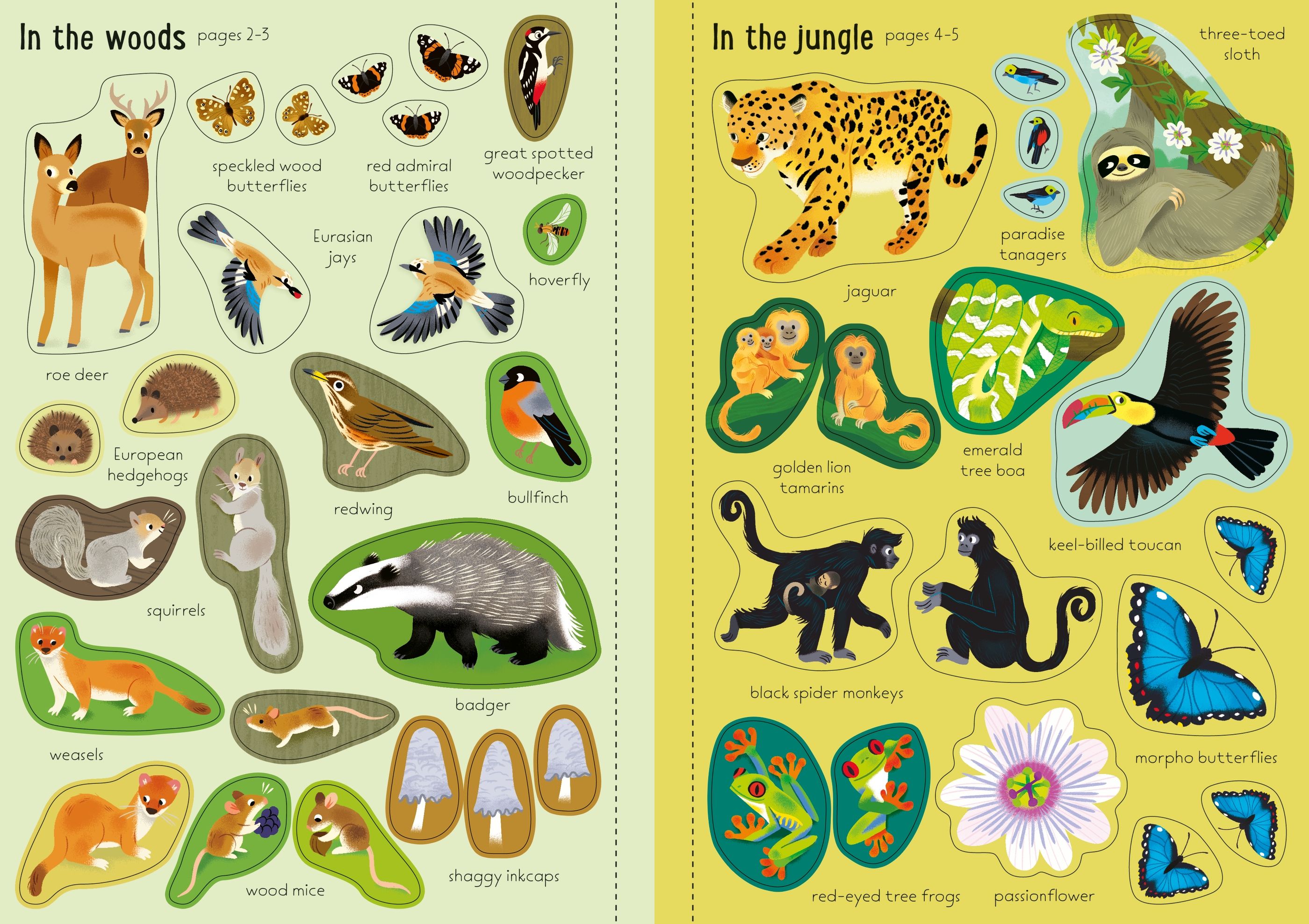 Usborne – Little First Stickers Nature – Carte cu stickere pentru copii 3+ ani – carte pentru copii Usborne, pagini interior ilustrate