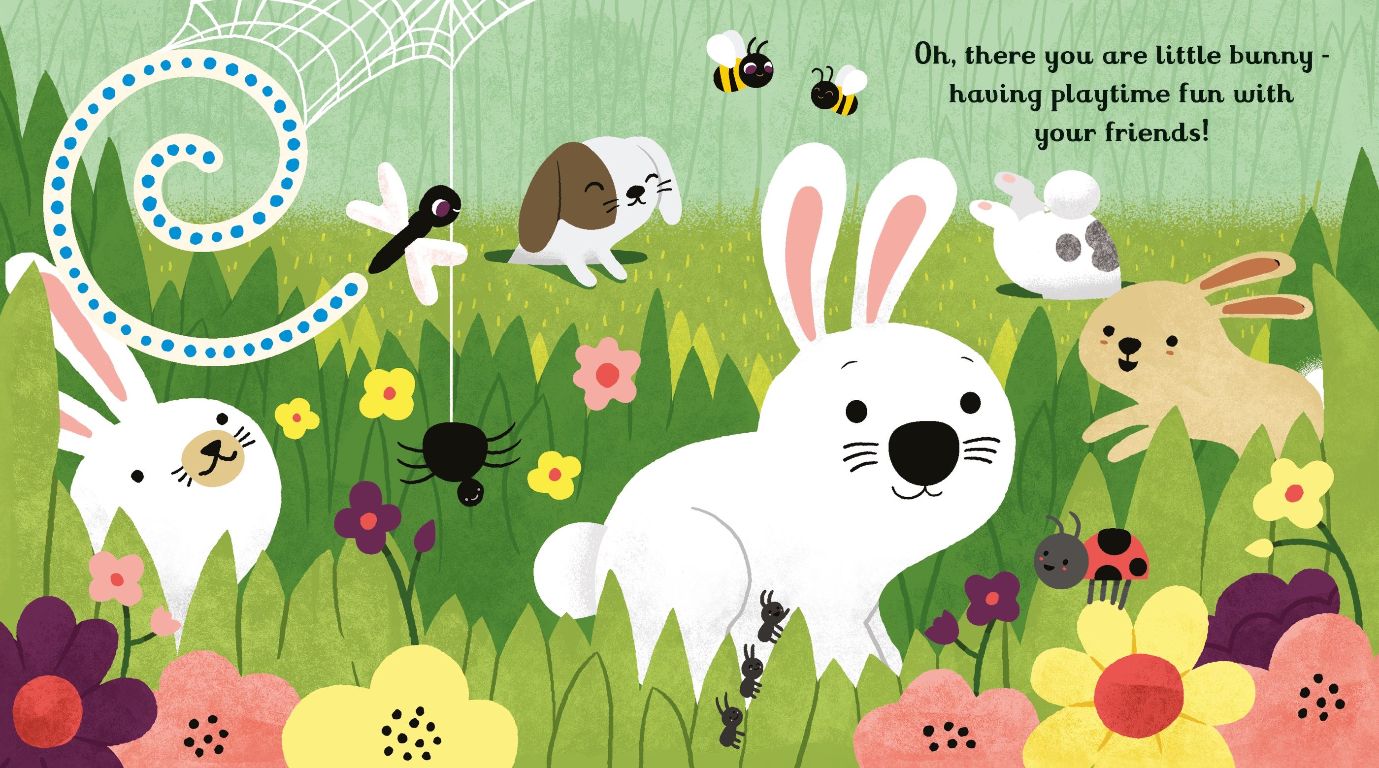 Usborne – Are you there little Bunny – Carte pentru copii 6+ luni – carte pentru copii Usborne, detalii conținut