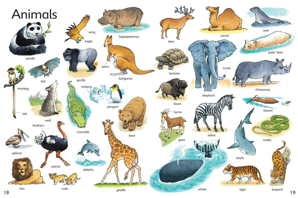 Usborne – First Thousand Words in English – Carte pentru copii 5+ ani – carte pentru copii Usborne, preview pagini