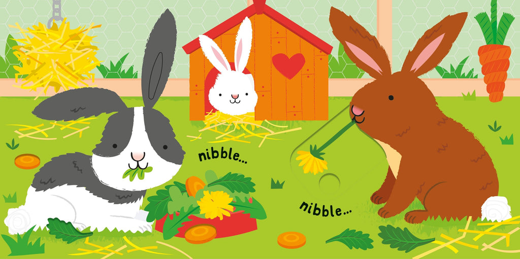 Usborne – Slide and See Pets – Carte pentru copii 6+ luni – carte pentru copii Usborne, detalii conținut