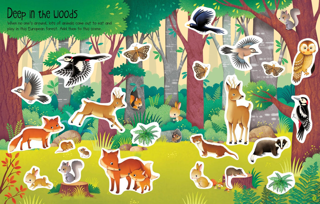 Usborne – First Sticker Book Nature – Carte cu stickere pentru copii 3+ ani – carte pentru copii Usborne, preview pagini