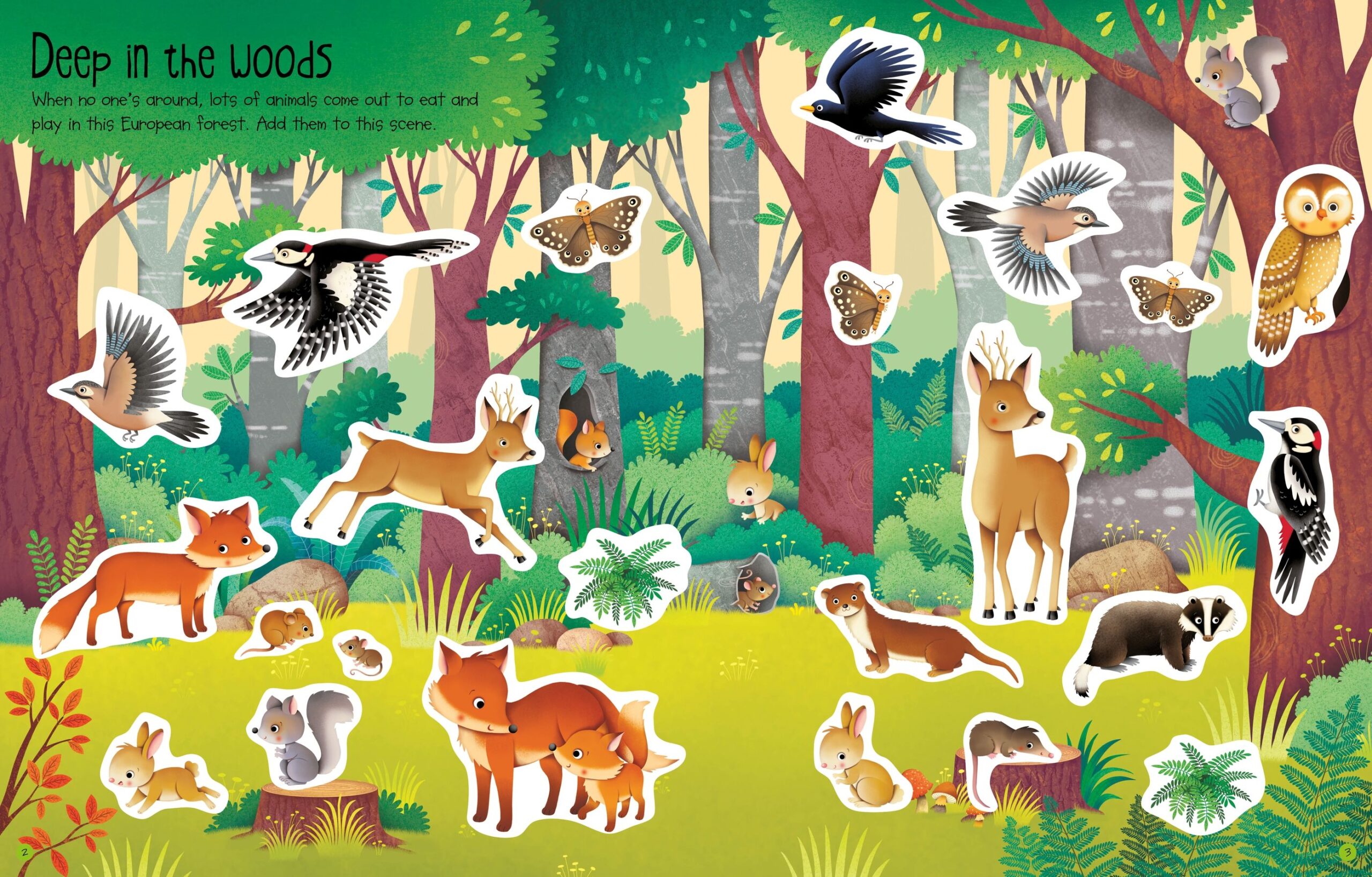 Usborne – First Sticker Book Nature – Carte cu stickere pentru copii 3+ ani – carte pentru copii Usborne, preview pagini