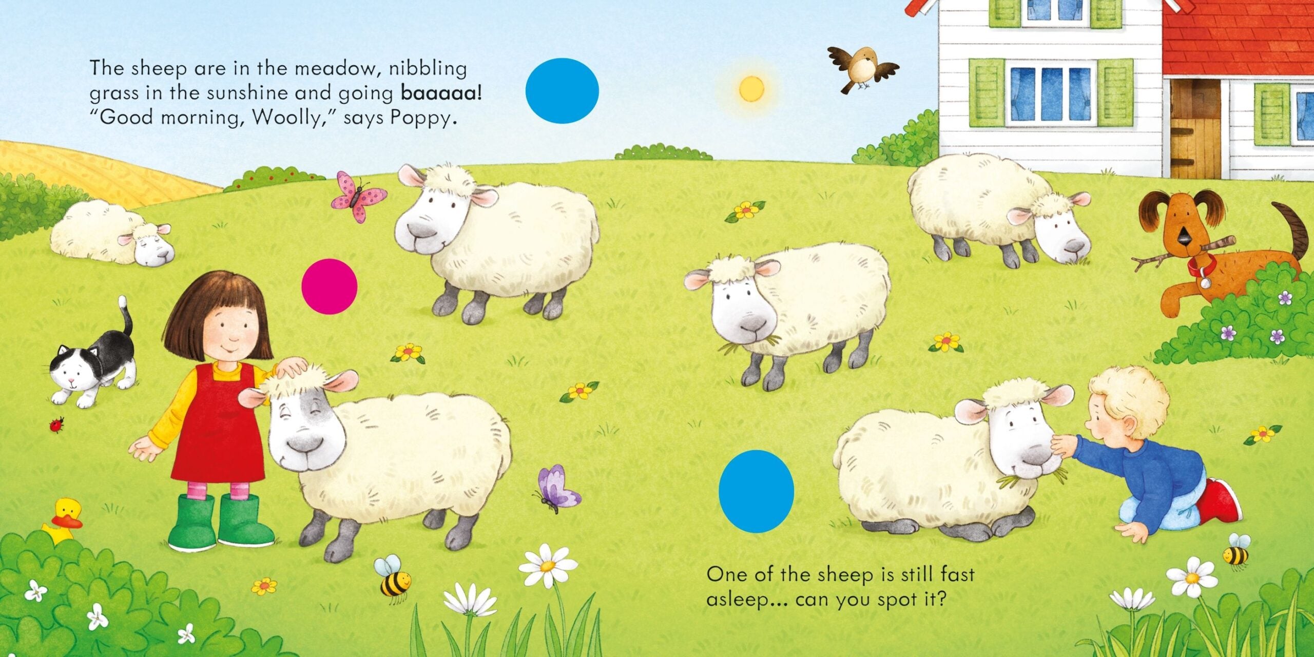 Usborne – Poppy and Sam's Farm Animal Sounds – Carte cu sunete pentru copii 6+ luni – carte pentru copii Usborne, detalii conținut