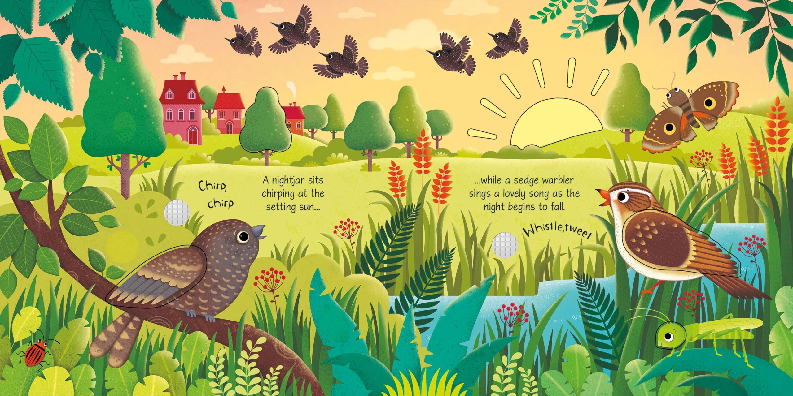 Usborne – Bird Sounds – Carte pentru copii 3+ ani – carte pentru copii Usborne, detalii conținut cu sunete