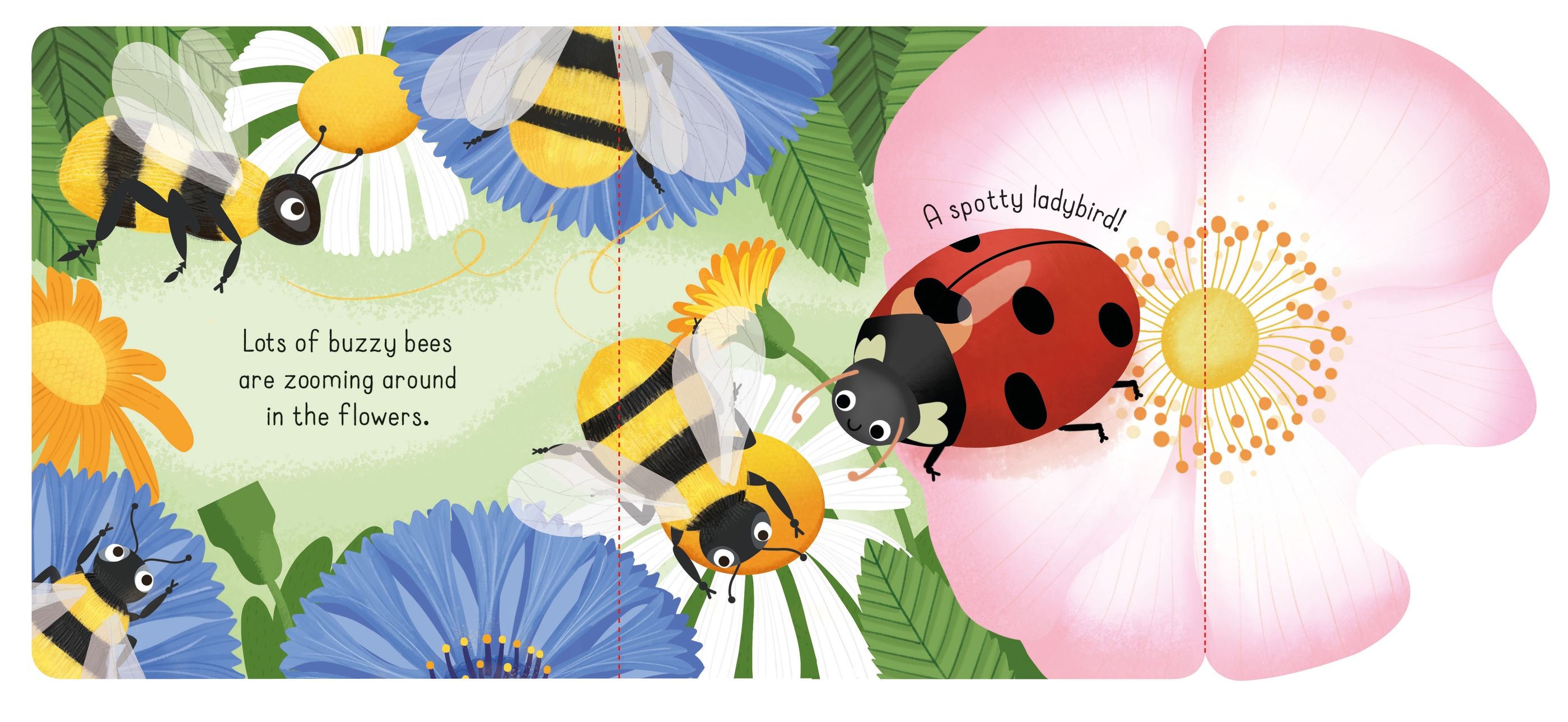 Usborne – Little Lift and Look Bugs – Carte pentru copii 10+ luni – carte pentru copii Usborne, pagini interior ilustrate