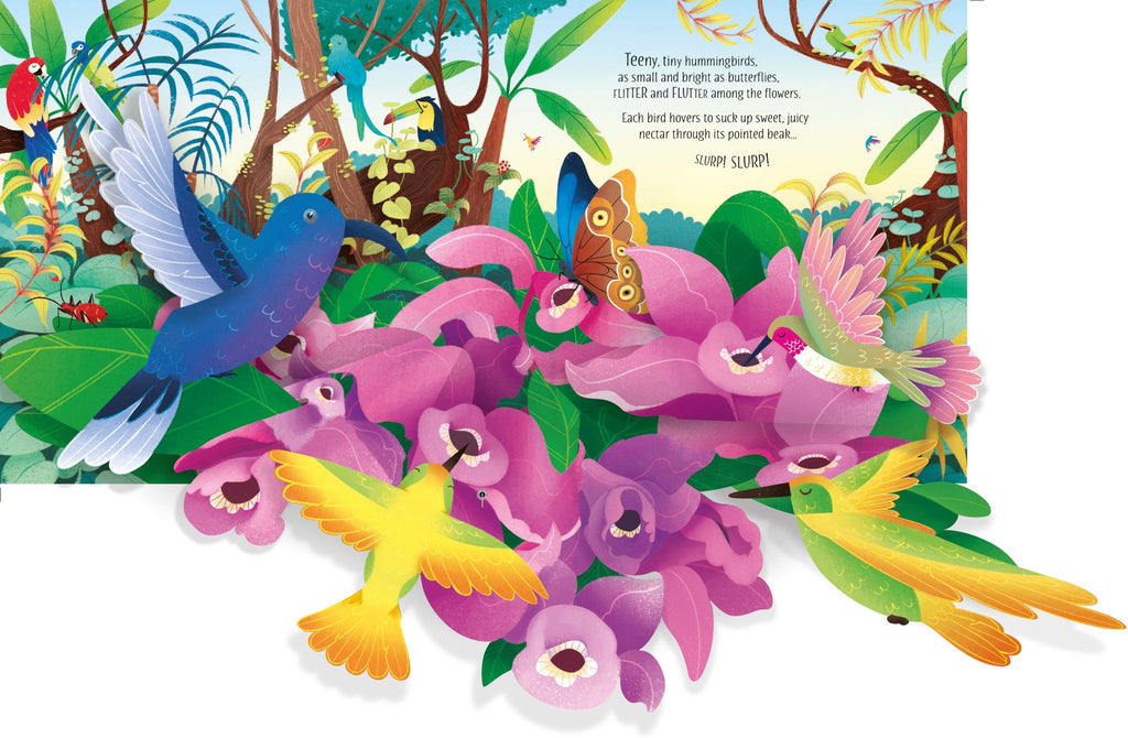 Usborne – Pop-Up Birds – Carte pentru copii 5+ ani – carte pentru copii Usborne, pagini interior ilustrate