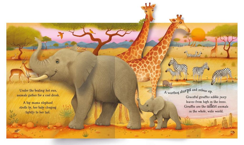 Usborne – Pop-Up Animals – Carte pentru copii 5+ ani – carte pentru copii Usborne, pagini interior ilustrate
