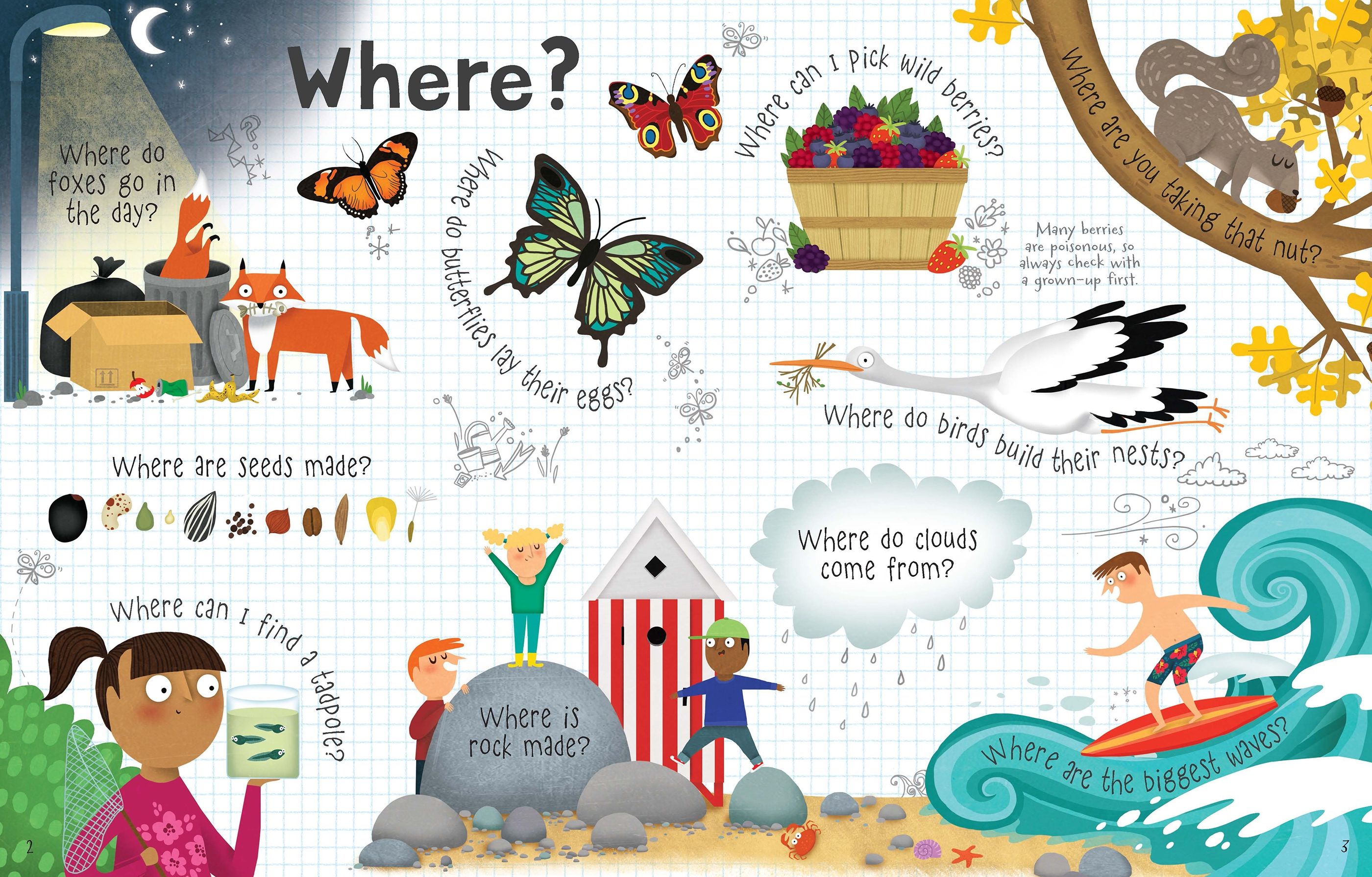 Usborne – Lift-the-flap Questions and Answers about Nature – Carte cu clapete pentru copii 5+ ani – carte pentru copii Usborne, pagini interior ilustrate
