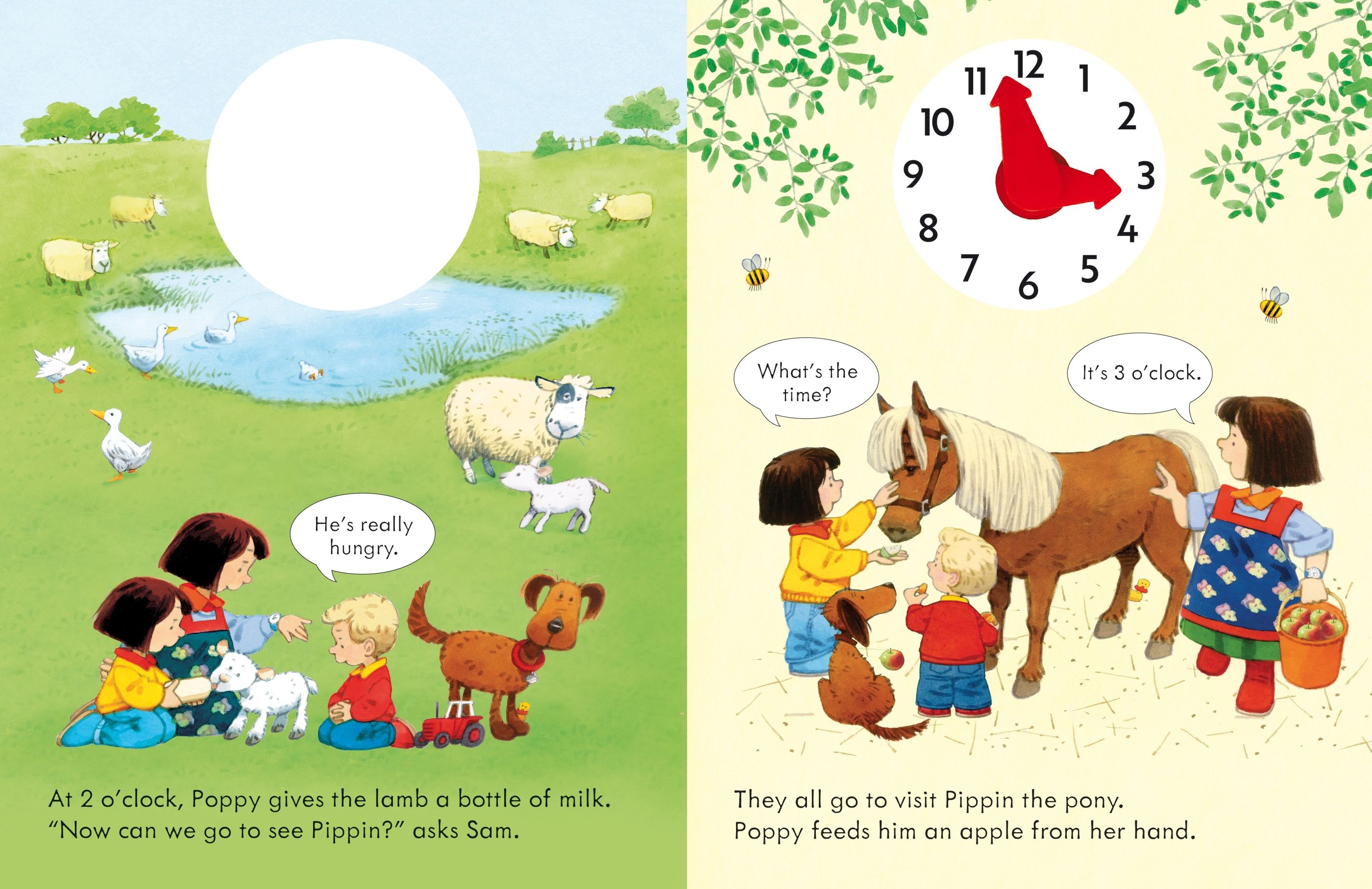 Usborne – Poppy and Sam's Telling the Time Book – Carte pentru copii 4+ ani – carte pentru copii Usborne, detalii conținut