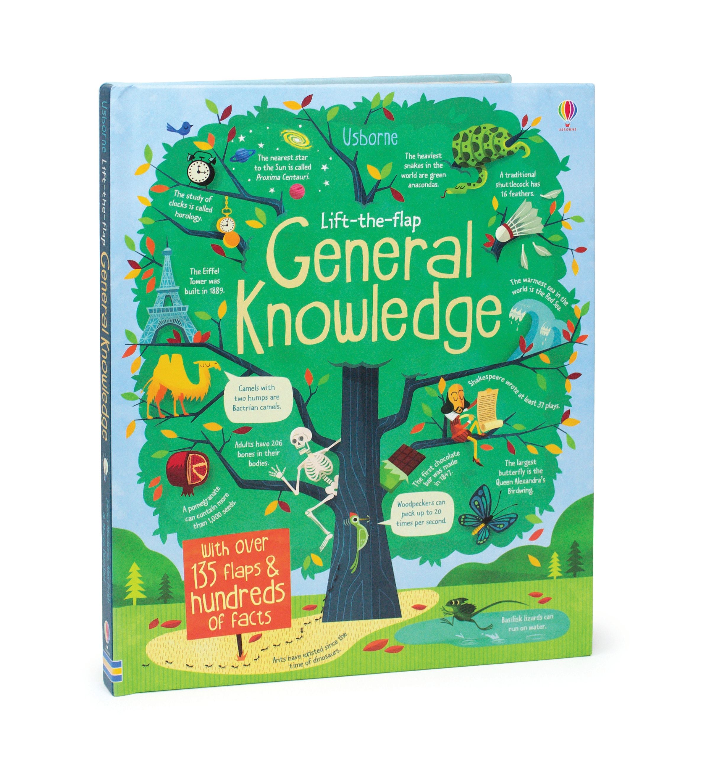 Usborne – Lift-the-Flap General Knowledge – Carte cu clapete pentru copii 6+ ani – carte pentru copii Usborne, preview pagini