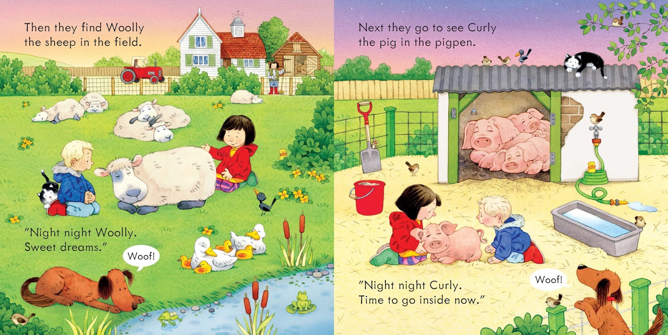 Usborne – Poppy and Sam's Bedtime – Carte pentru copii 3+ ani – carte pentru copii Usborne, pagini interior ilustrate