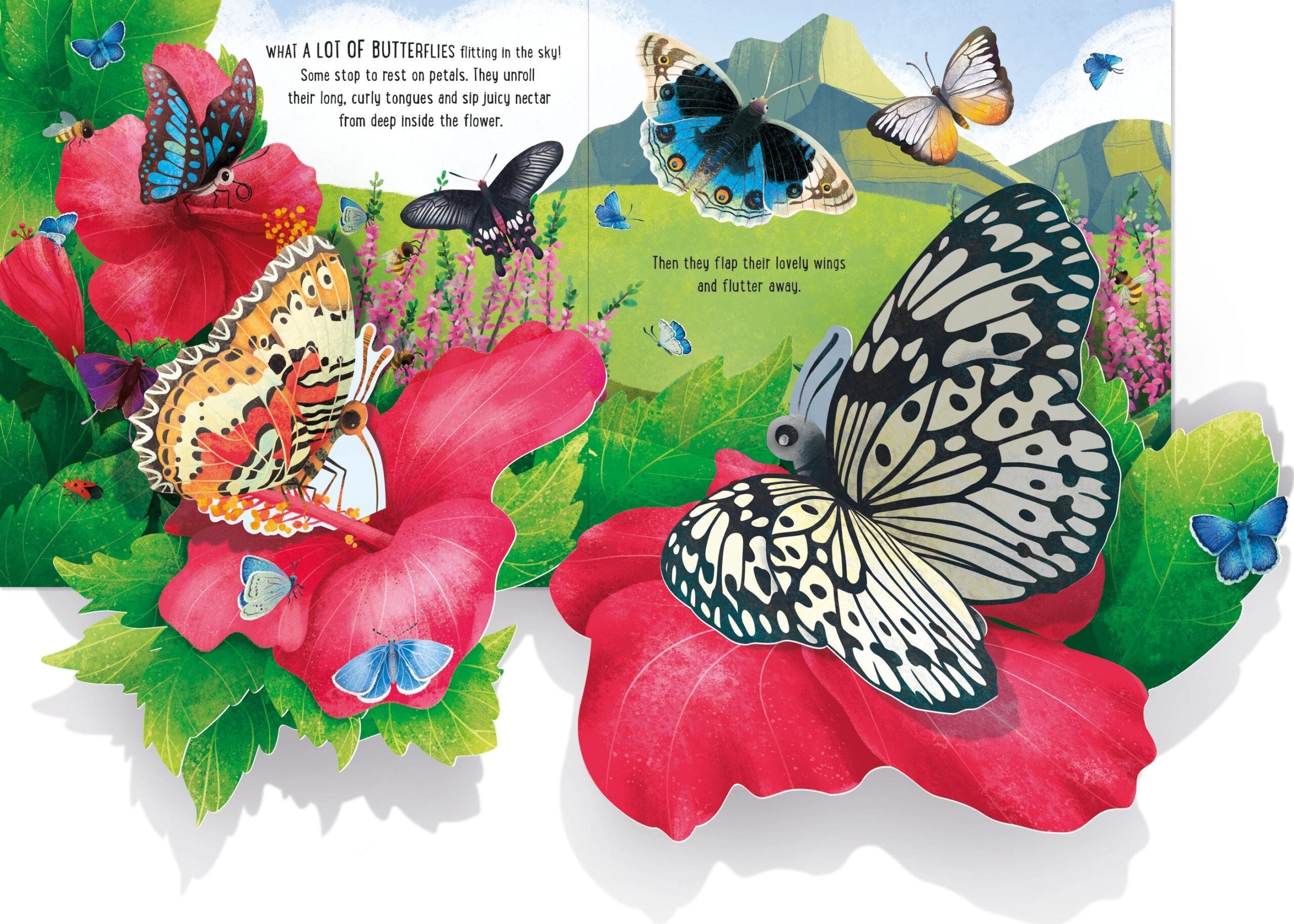 Usborne – Pop-Up Butterflies – Carte pentru copii 5+ ani – carte pentru copii Usborne, preview pagini