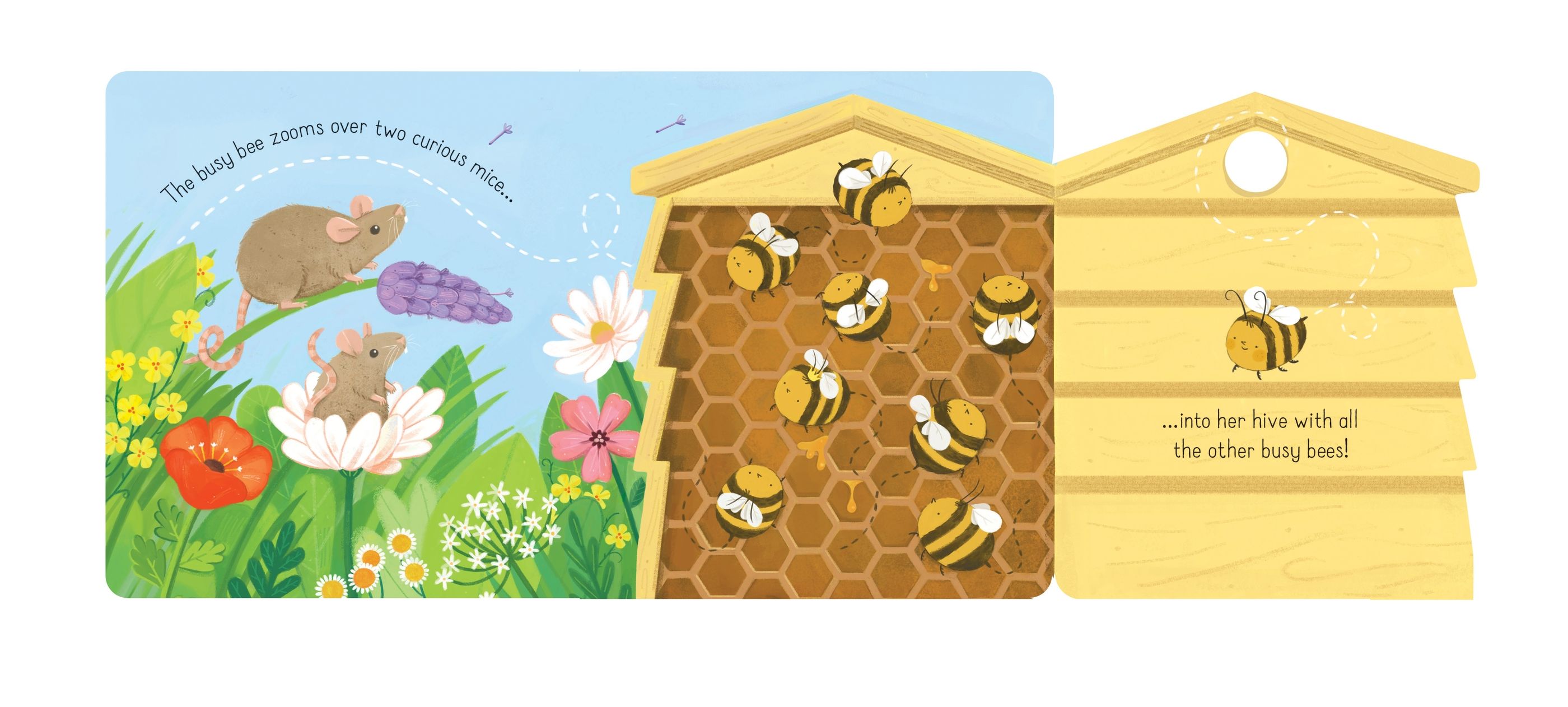 Usborne – Little Lift and Look Busy Bee – Carte cu clapete pentru copii 10+ luni – carte pentru copii Usborne, preview pagini