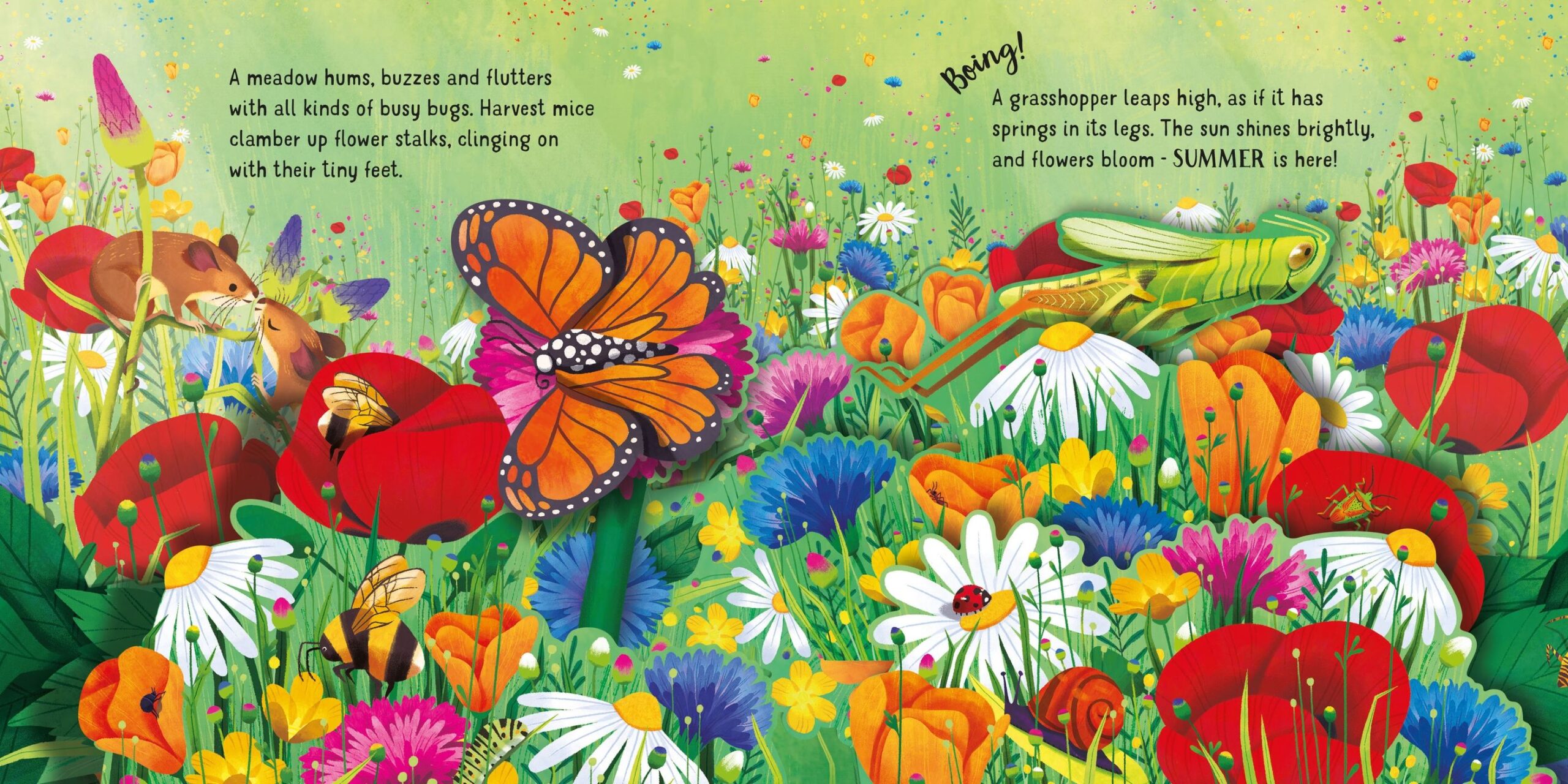 Usborne – Pop-Up Seasons – Carte pentru copii 3+ ani – carte pentru copii Usborne, pagini interior ilustrate