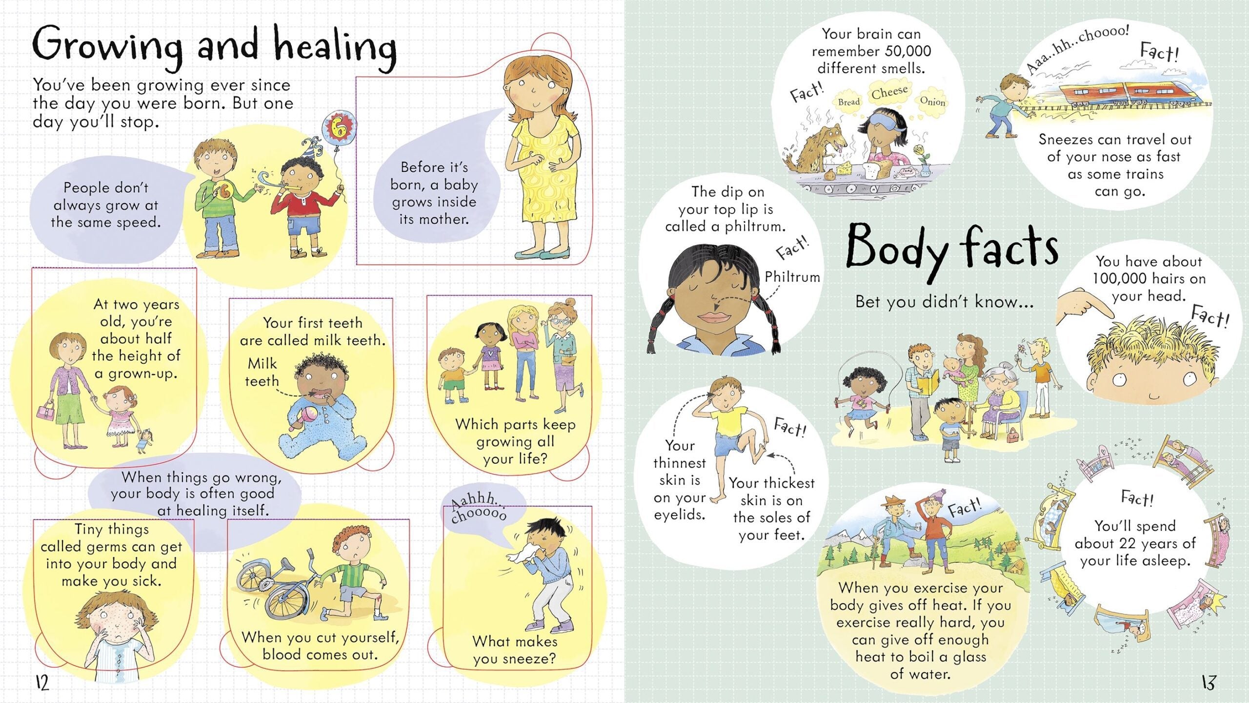 Usborne – Look Inside Your Body – Carte pentru copii 5+ ani – carte pentru copii Usborne, preview pagini