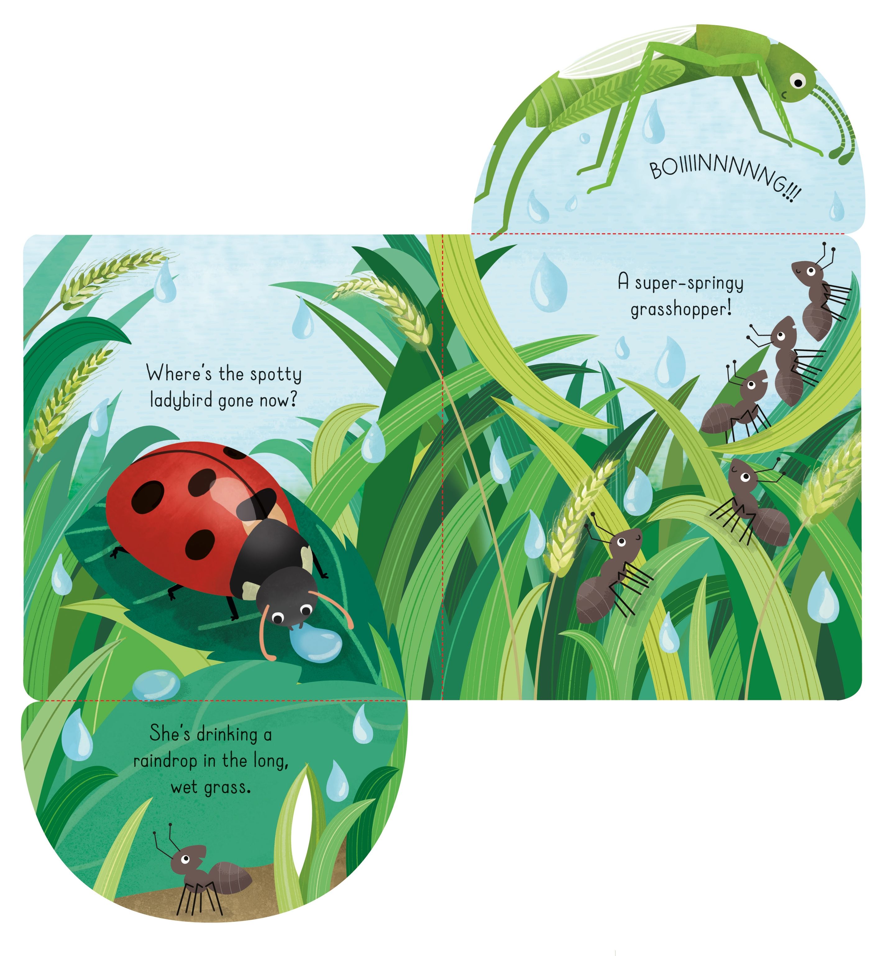 Usborne – Little Lift and Look Bugs – Carte pentru copii 10+ luni – carte pentru copii Usborne, preview pagini