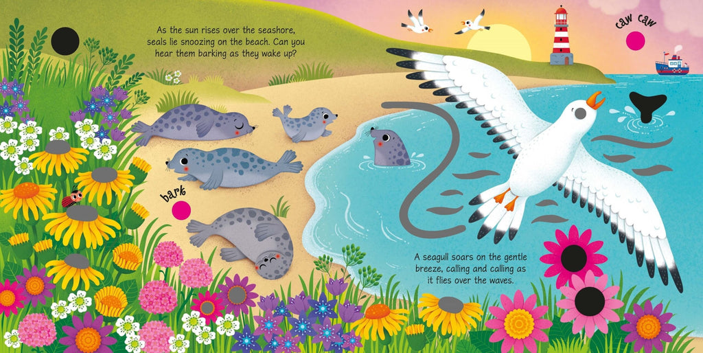Usborne – Seashore Sounds – Carte cu sunete pentru copii 6+ luni – carte pentru copii Usborne, preview pagini