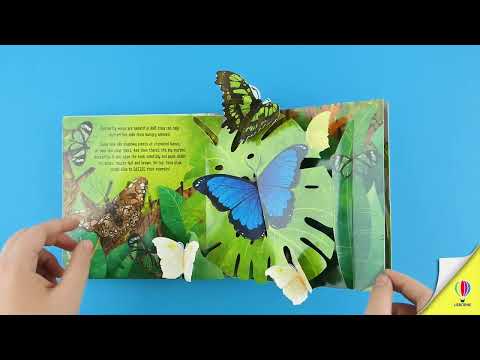 Videoclip de prezentare pentru cartea „Pop-Up Butterflies”, Usborne