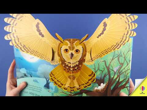 Videoclip de prezentare pentru cartea „Pop-Up Birds”, Usborne