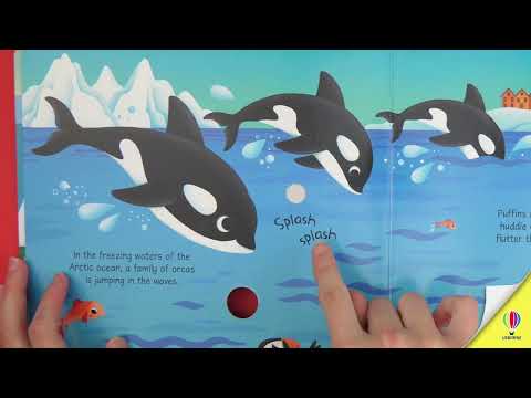 Videoclip de prezentare pentru cartea „Arctic Animals Sound Book”, Usborne